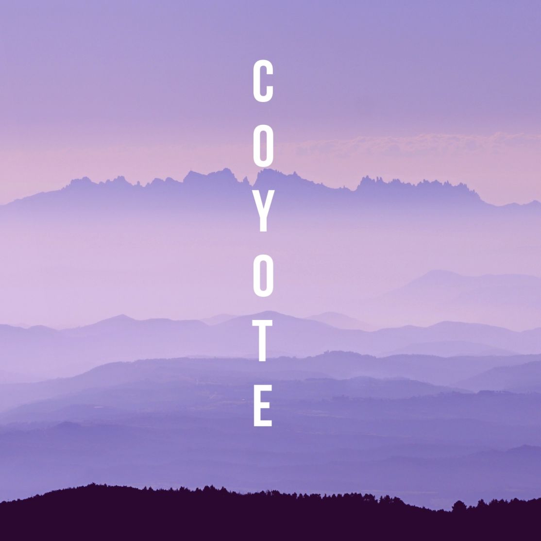 Coyote